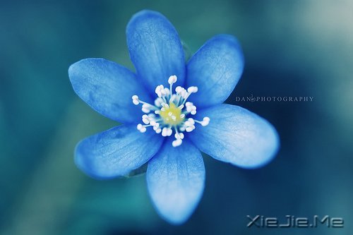 ȻһУ矟 (1)