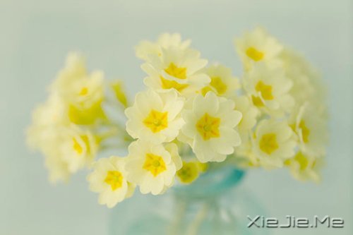 жԓж(jin)(qing) (6)