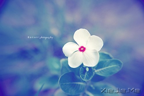 Ȼһ矟 (6)