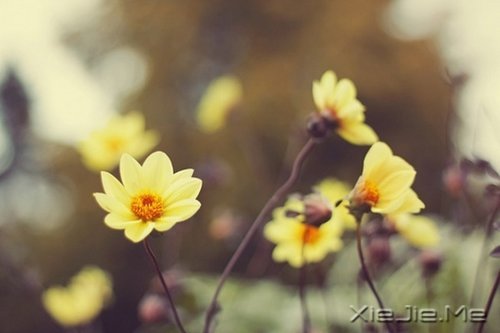 Ȼһ矟 (8)