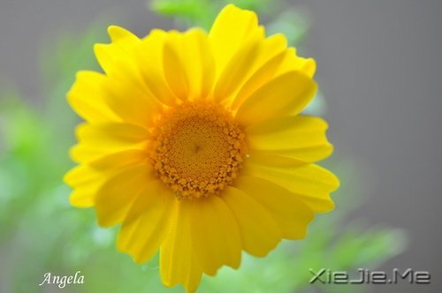ȻһУ矟 (9)