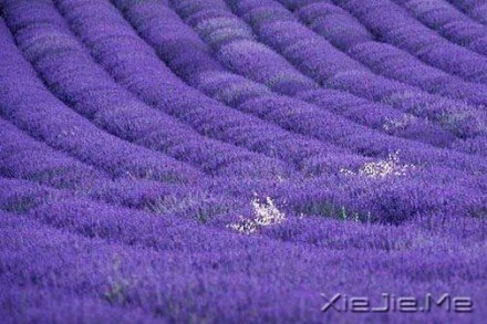 ҪeԼ (1)
