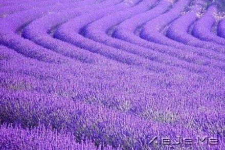 ҪeԼ (9)