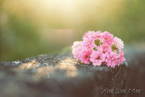 жԓж(jin)(qing) (1)