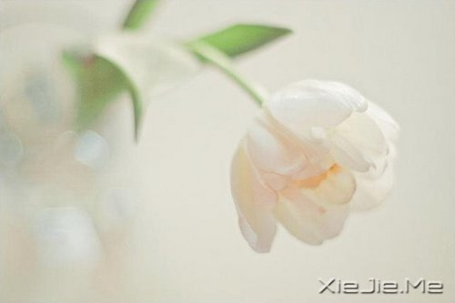 жԓж(jin)(qing) (2)