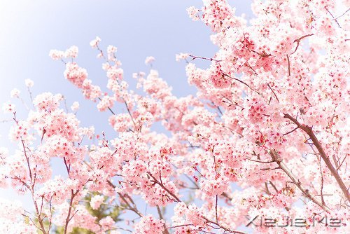 жԓж(jin)(qing) (3)