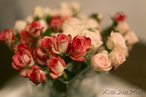 жԓж(jin)(qing) (4)