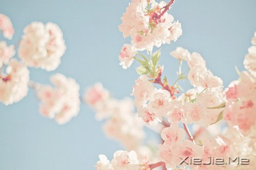 жᣬԓж(jin)(qing) (8)