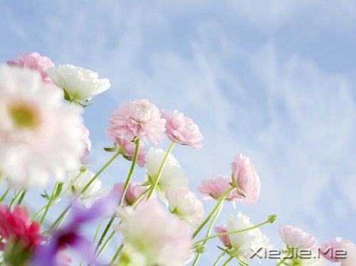һǬF(xin)һǉ (1)