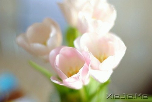 ܲ^rg^Լ (3)