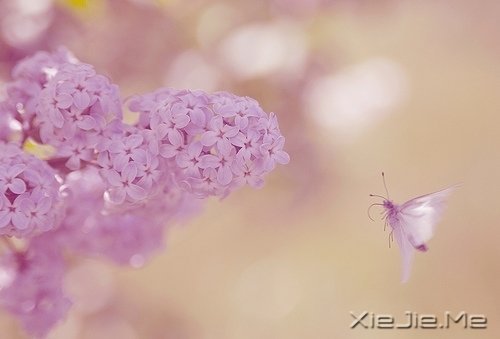 ՈoՓ@Į (3)