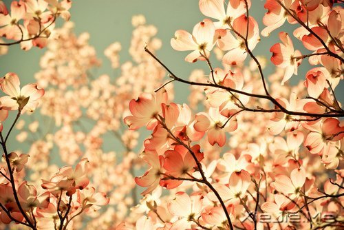 ՈoՓ@Į (4)