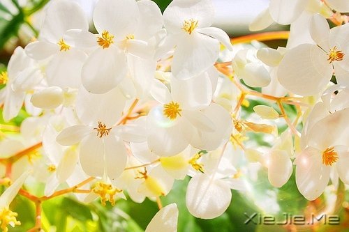 ՈoՓ@Į (6)