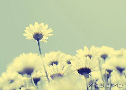 ^ҸһЩ֪XСƬ (4)