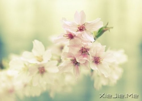 ^ҸһЩ֪XСƬ (9)