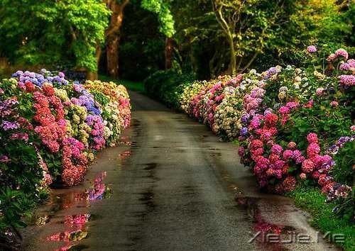 ˥ϵĲǲMȡ (7)
