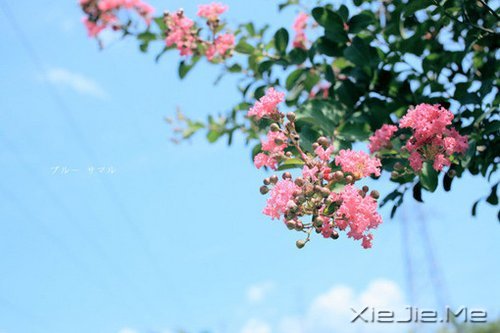 ҪЦe˵İֻ](mi)н(jng)v^(gu)Ă (1)