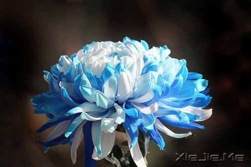 ҪЦe˵İֻ](mi)н(jng)v^(gu)Ă (5)