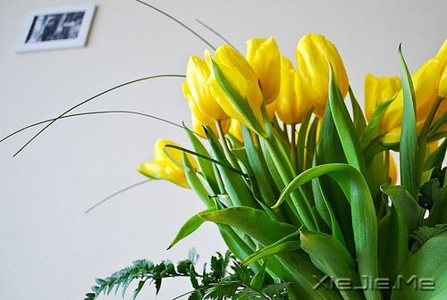 Ҹԓǁǁö (2)