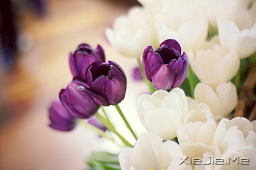 ˥ϵĲǲMȡ (2)