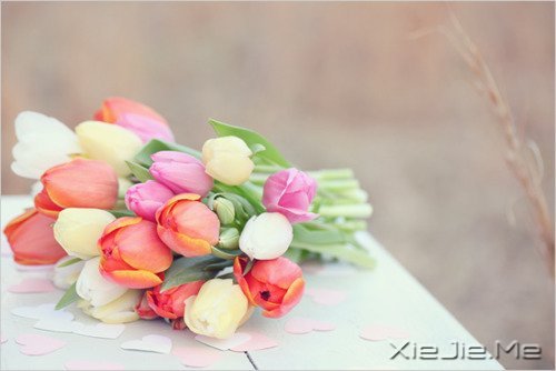 ˥ϵĲǲMȡ (5)