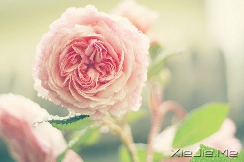 Ĺª(d)һƬڰֻܿԼ (8)