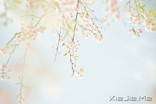 ֻx֮ܿr֮p (5)