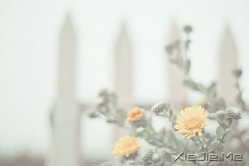 ֻx֮أܿr֮p (6)