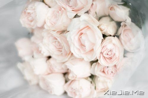 һ·жϧ (3)