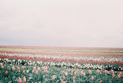 簲Zþړһwƽ (2)