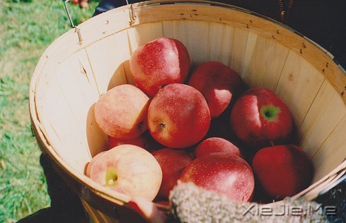 簲Zþړһwƽ (5)