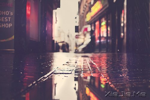 Z(y)ֻ벻ͨ](mi)߲ͨ· (4)