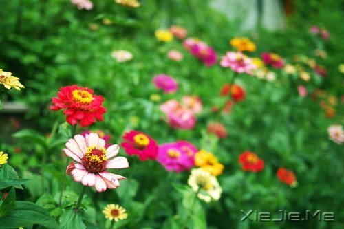 簲Z׌^ȥĶ^ȥ (4)