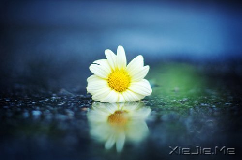簲Z׌^ȥĶ^ȥ (2)