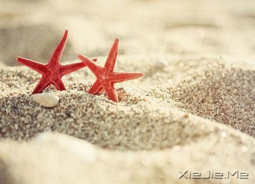 簲Z׌^ȥĶ^ȥ (6)