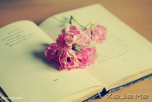 簲Z׌^ȥĶ^ȥ (12)