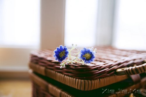 ZһNwĪđn (6)