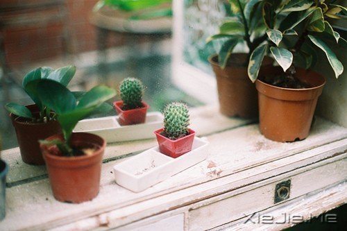 ZһNwĪđn (10)
