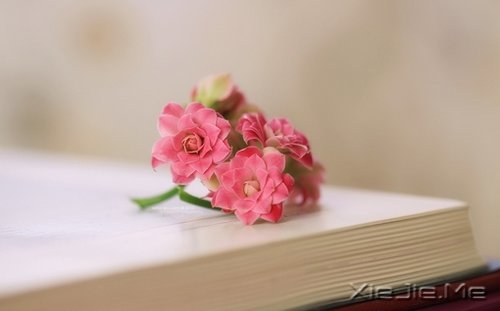 簲ZKԒeԸɃһǧ (1)