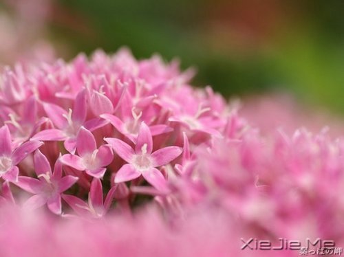 簲ZKԒeԸɃһǧ (2)