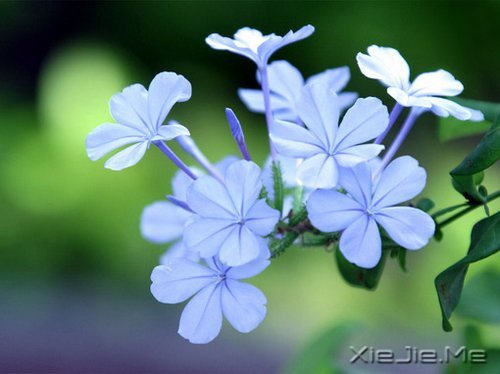 簲ZKԒeԸɃһǧ (3)