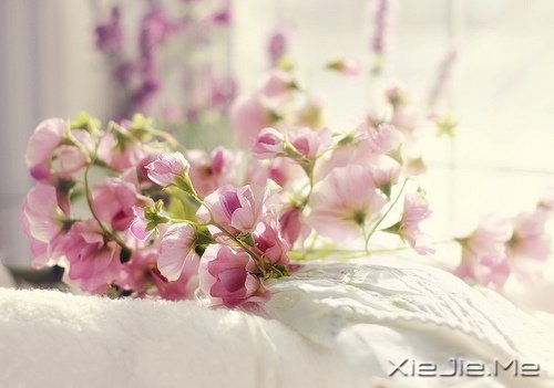 簲ZKԒeԸɃһǧ (5)