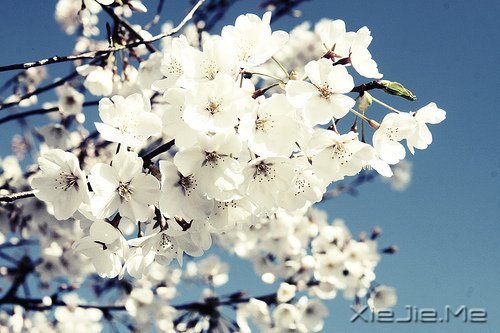 簲ZKԒeԸɃһǧ (6)