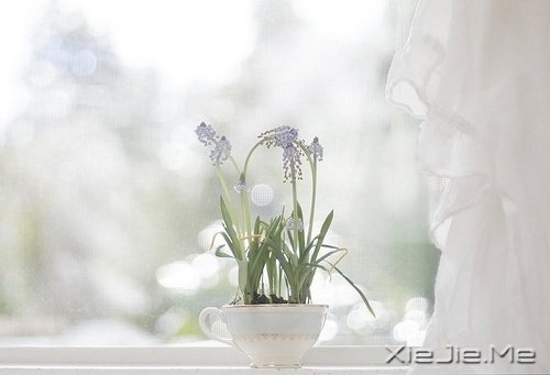 簲ZKԒeԸɃһǧ (7)