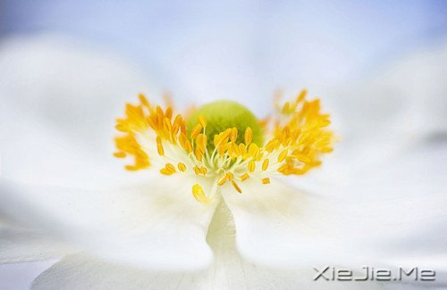 簲ZKԒeԸɃһǧ (9)