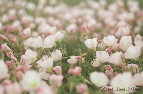 簲ZKԒeԸɃһǧ (10)