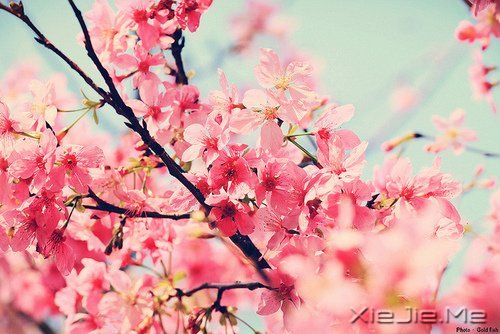 簲ZKԒeԸɃһǧ (11)