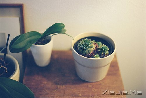 ZøǞԼ (12)