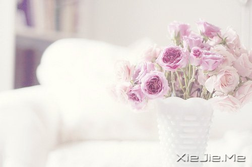 簲Z(y)һ(g)ɣȥJ(rn)n (1)