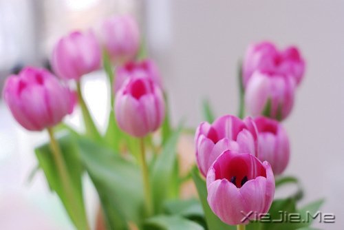 簲Z(y)һ(g)ȥJ(rn)n (2)